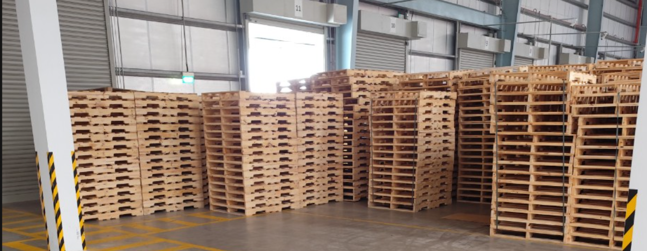 BNG - xưởng sản xuất, cung cấp pallet gỗ ở tại Hải Phòng